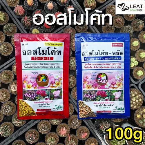 ปุ๋ยออสโมโค้ท ปุ๋ยละลายช้า สูตร3เดือน/ สูตร6เดือน สินค้าพร้อมส่ง ปุ๋ยแคคตัส (Osmocote)