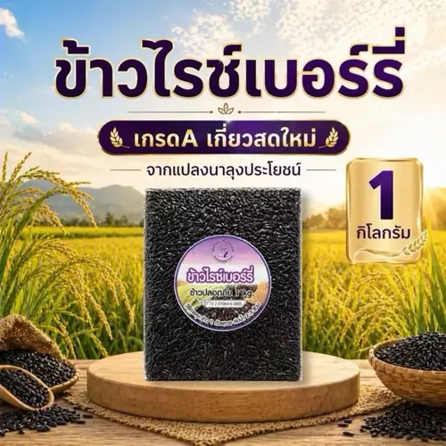 ข้าวไรซ์เบอร์รี่ เกรดA เกี่ยวสดใหม่ จากแปลงนาลุงประโยชน์
