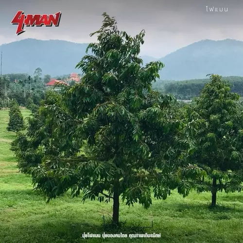 464130496