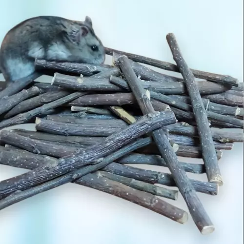 ไม้แอปเปิ้ล Apple stick สำหรับสัตว์ฟันแทะ หนูแฮมเตอร์