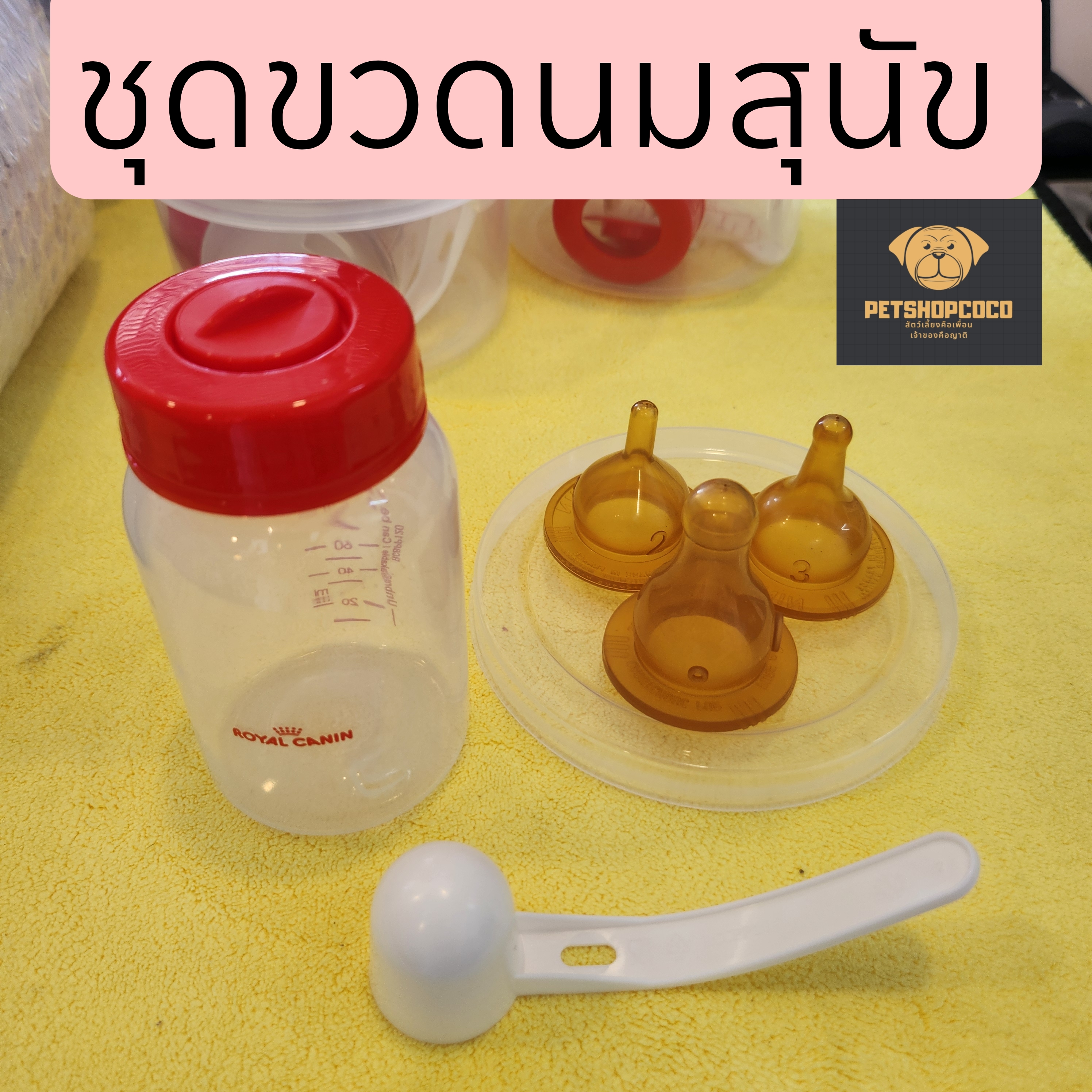 ขวดนมสุนัข Royal canin 1ชุด มี ขวด ฝา จุกนมสุนัข2ขนาด แยกซื้อได้