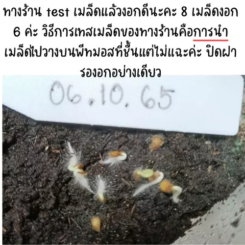 357922431