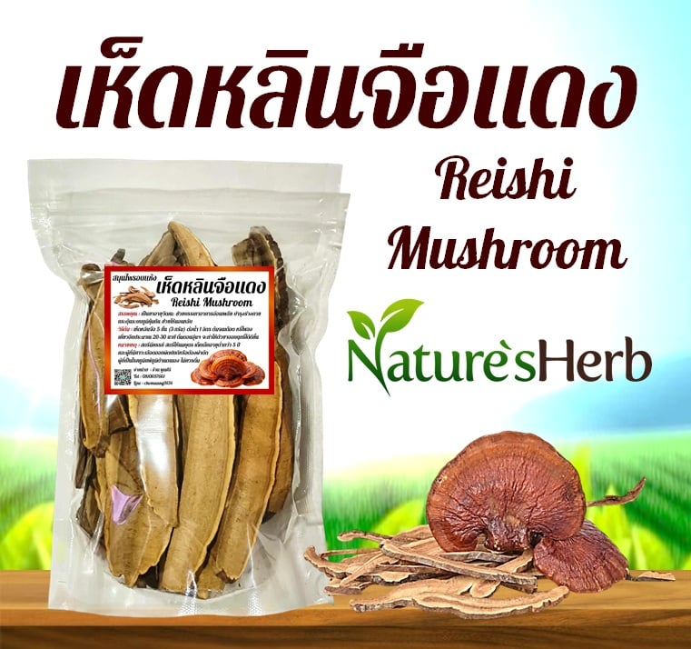 เห็ดหลินจือแดง Reishi Mushroom สมุนไพรอบแห้ง