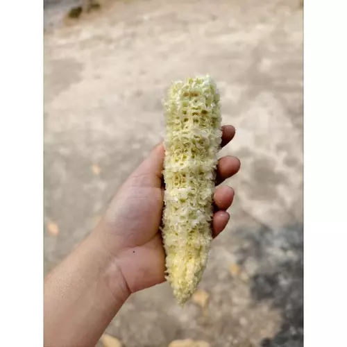 357918320