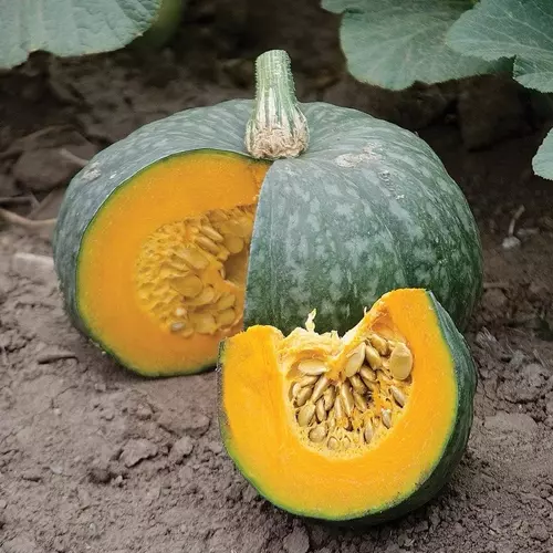 66850