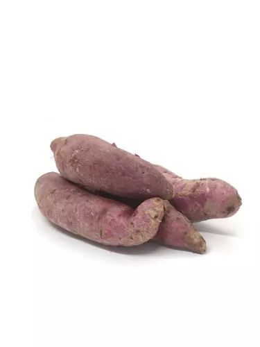 151558