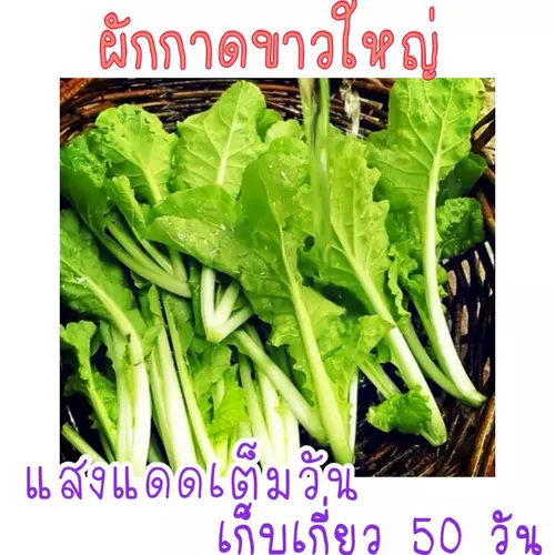 357865385