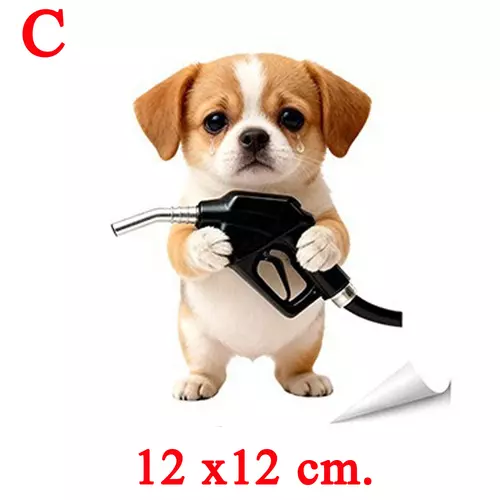 7419