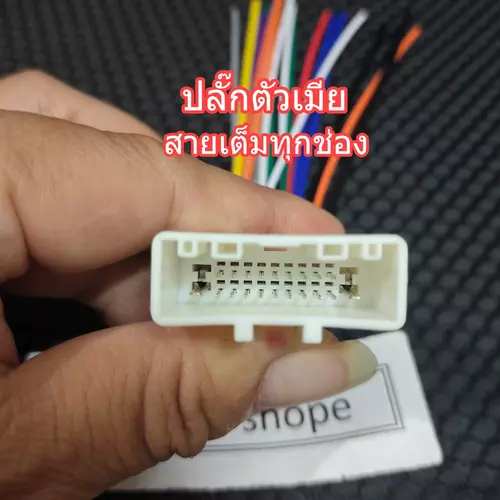 54535580