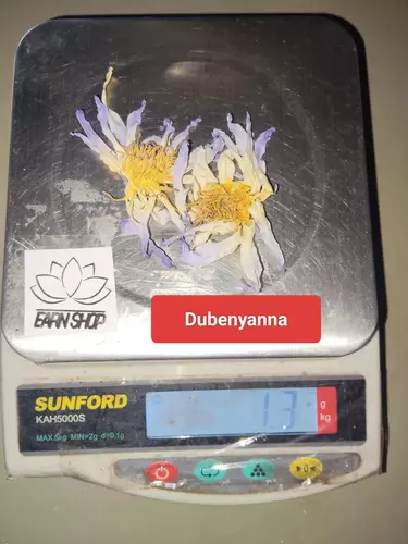 68686516
