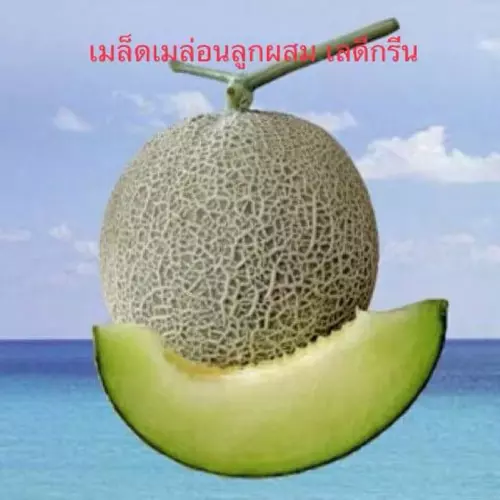 82304