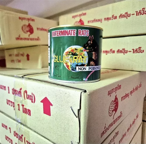 กาวดักหนู ขนาด 1 ปอนด์ กาวเหนียวอย่างดี กาววิทยาศาสตร์