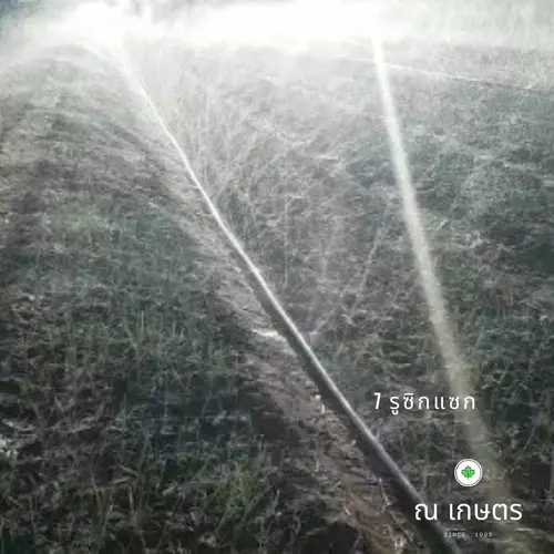 360343198