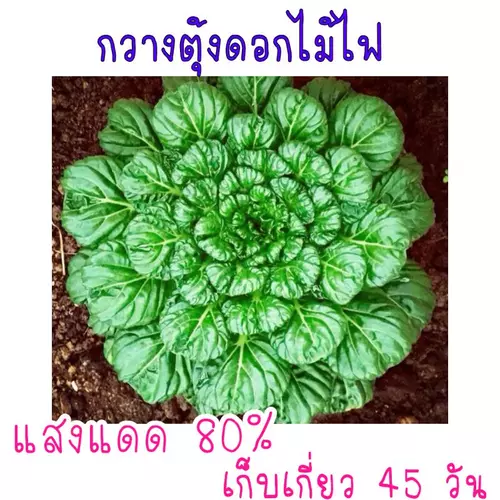 357918239