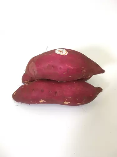 151407