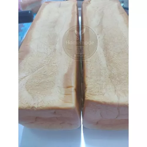 95559