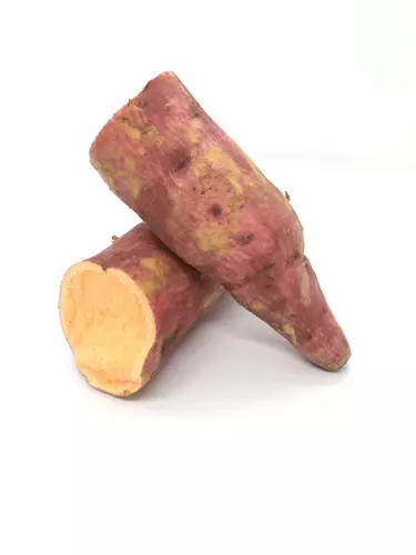 151589