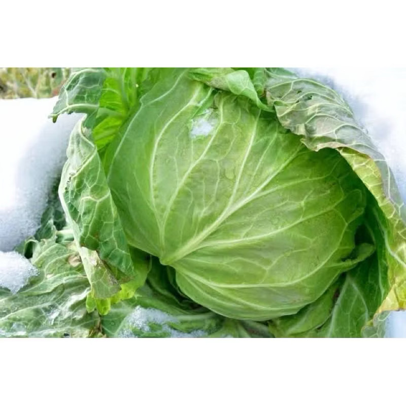 67115