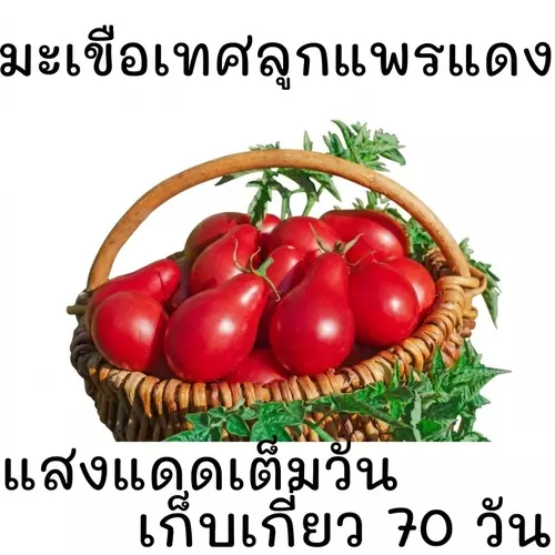 357923195