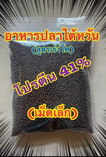 51596