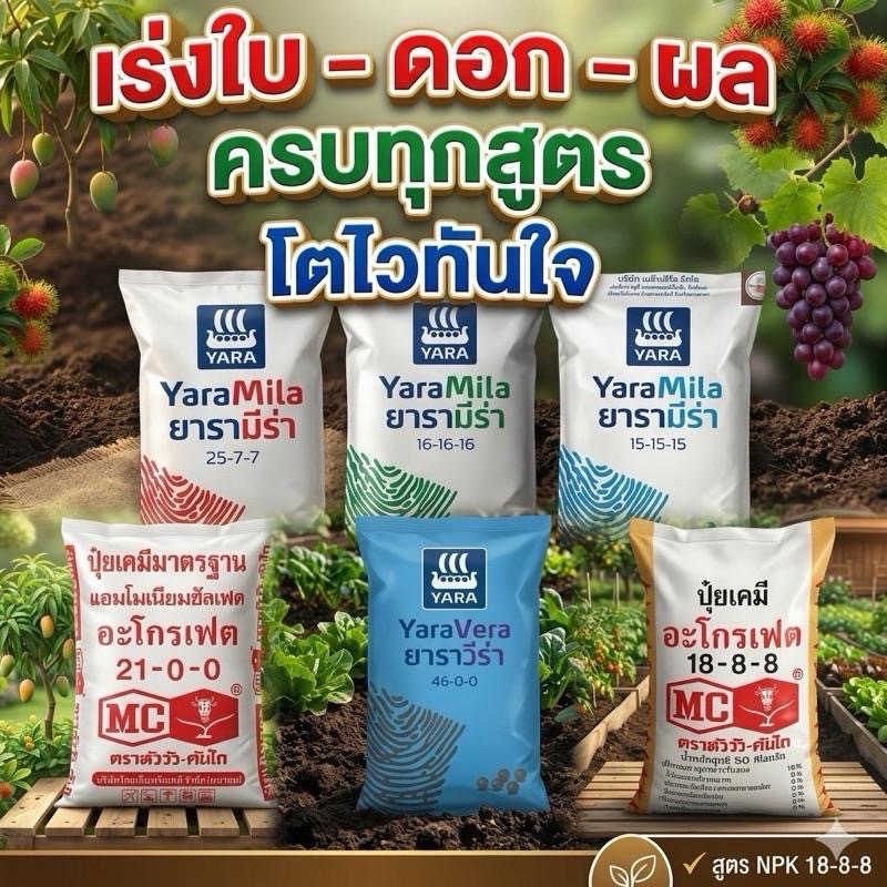 ปุ๋ยแบ่งขาย 1 กก. YaraMila เร่งใบเขียว ผักโตไว เร่งดอก เร่งผล ใช้ได้ทุกพืช พร้อมส่ง