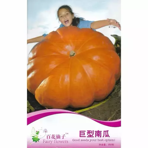 75786
