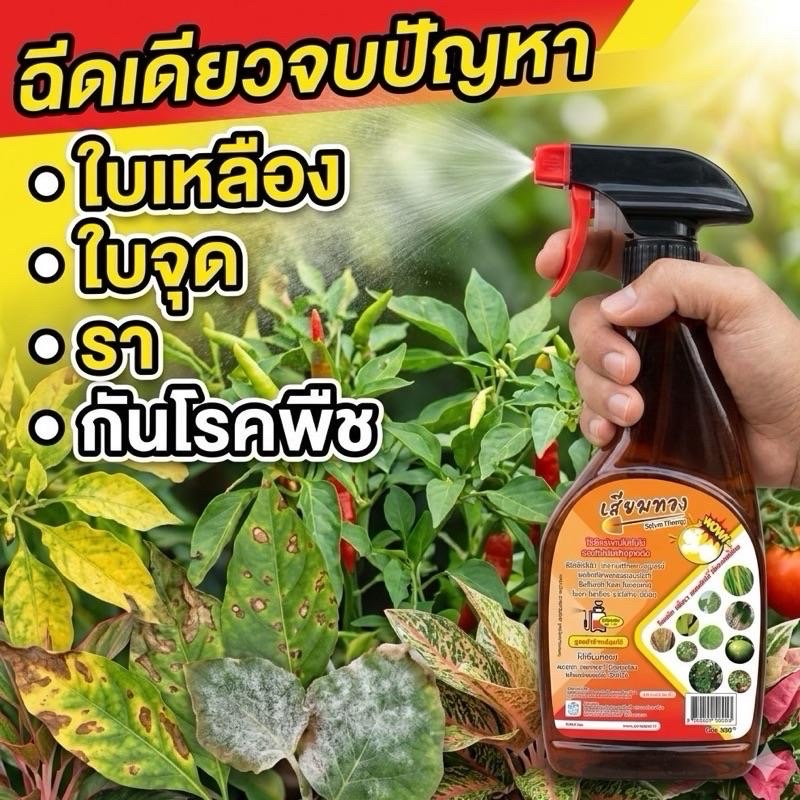 สเปรย์กำจัดเชื้อรา ป้องกันโรคพืช แก้ใบเหลือง ช่วยให้พืชแข็งแรง สูตรพร้อมใช้ 500cc