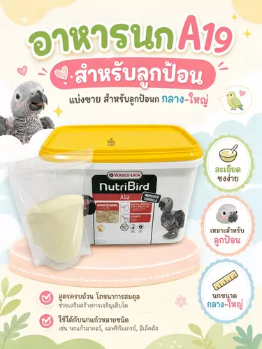 Nutribird A19 อาหารลูกป้อน อาหารนก ไขมันและพลังงานสูง แบ่งขาย 100g/200g/500g