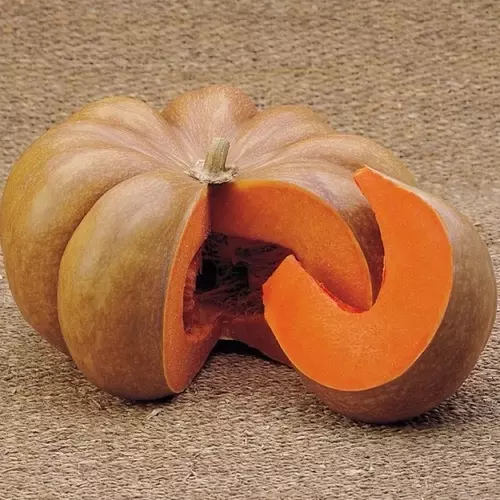 66839