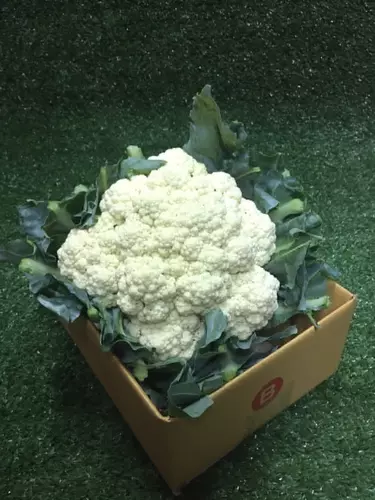 ดอกกะหล่ำสด 1หัว (300-400กรัม)🥦 - ดอกกระหล่ำ ผักผลไม้สด ผักสลัด