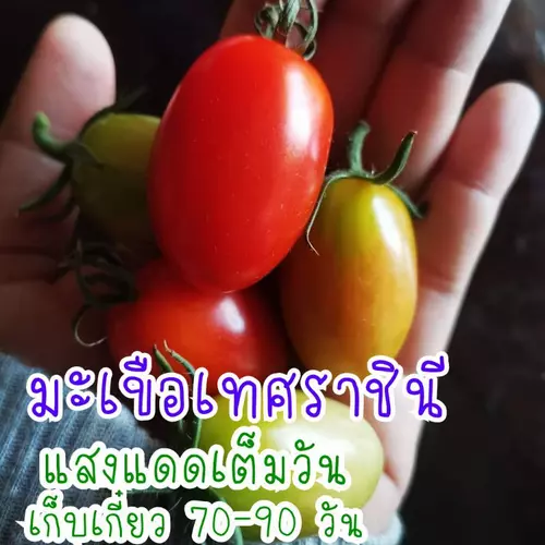 357857723