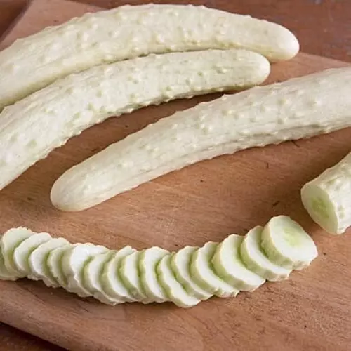 เมล็ดพันธุ์ แตงกวาอิตาชิ แตงกวาญี่ปุ่นขาว (Itachi Cucumber F1 See
