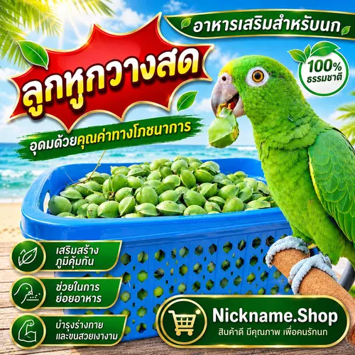 **อ่านรายละเอียดก่อนสั่งซื้อ**ลูกหูกวางสด เคลมได้ถ้าสินค้าเน่าเสียระหว่างขนส่ง  อาหารเสริมนกแก้ว ของดีมีประโยชน์ เก็บสด