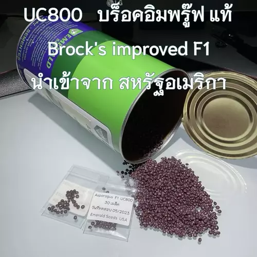 28252028