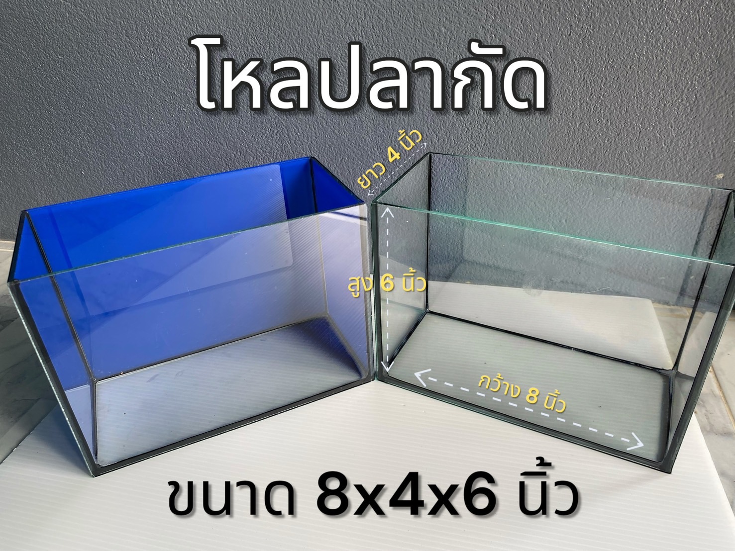 โหลปลากัด ขนาด 8x4x6นิ้ว กระจกหนา 3 มิลลิเมตร  โหลปลากัด ตู้ปลาขนาดเล็ก (1ใบ)