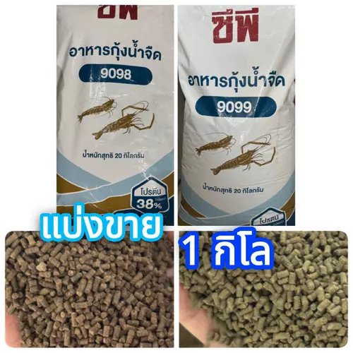 (แบ่งขาย 1กิโล) อาหารกุ้ง CP อาหารกุ้งน้ำจืด อาหารกุ้งเครฟิช อาหารกุ้งก้ามกราม กุ้งสวยงาม