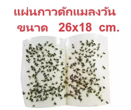 41899