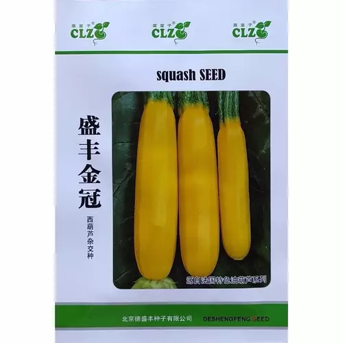 75481