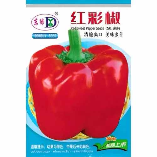 25924915