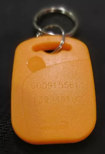 29566