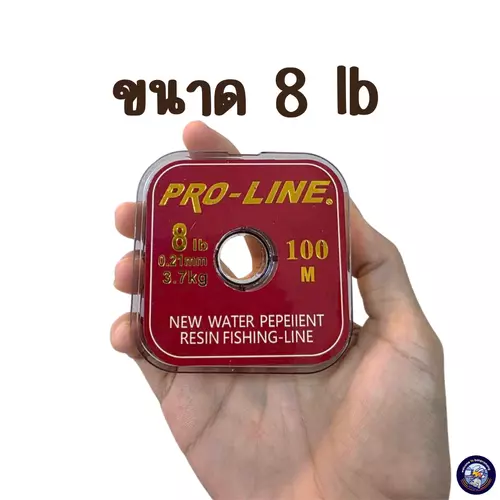 54617