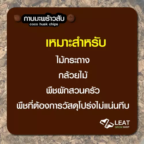 407812860