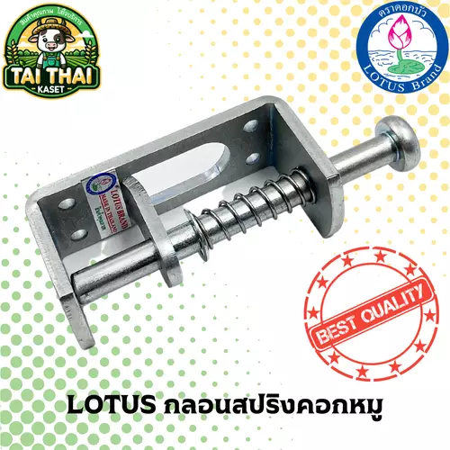 LOTUS กลอนสปริงคอกหมู กลอนประตู