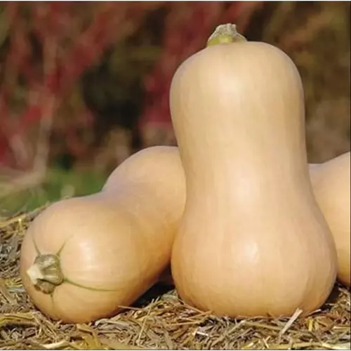 297489