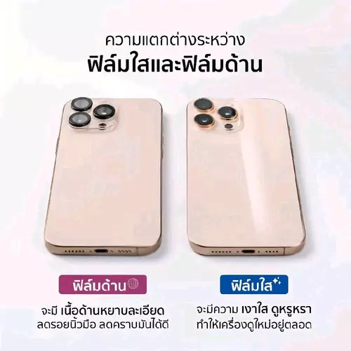 325008976