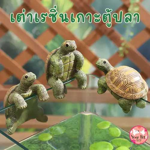 เรซิ่นตกแต่งตู้ปลาลายเต่า เกาะโหลปลา ของแต่งบ้าน สัตว์เลี้ยง  อ่างปลา Fish