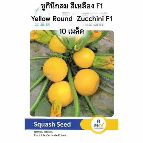 75484