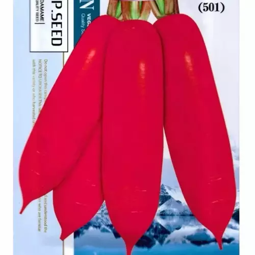 76051