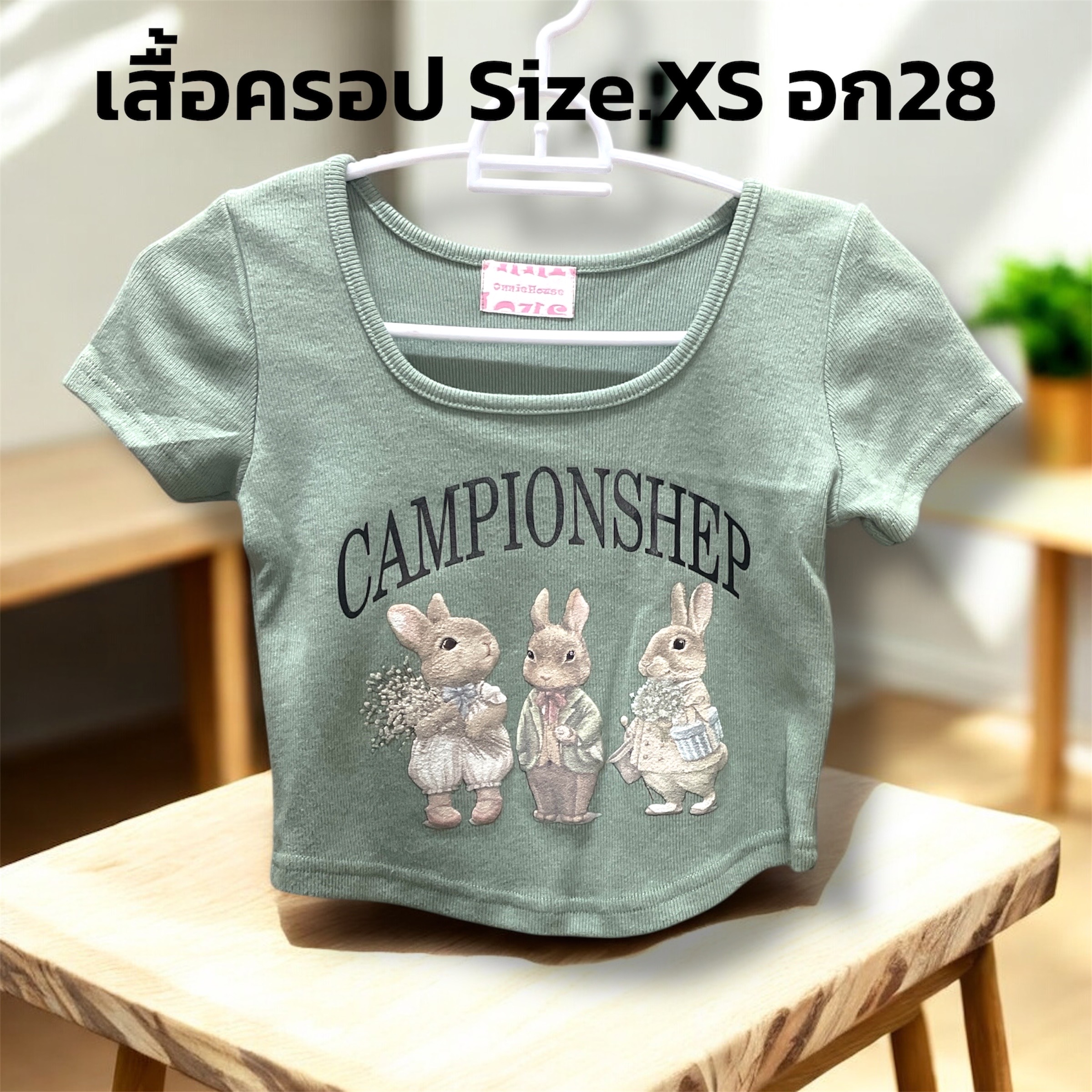 เสื้อยืดผู้หญิง อก 32 นิ้ว เสื้อครอปผู้หญิง คละแบบส่ง ผ้าดีคุ้มราคาแน่นอนค่ะ