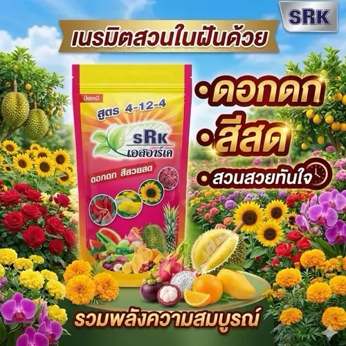 ปุ๋ยเร่งดอกดก ดอกโต สีสวยสด ลดดอกร่วง เหมาะกับไม้ดอกทุกชนิด บำรุงดอก ปุ๋ยSRK สูตร 4-12-4